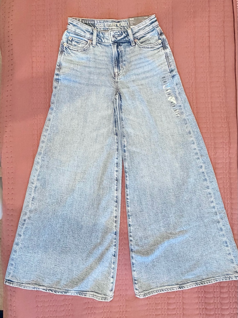 American Eagle Outfitters Light Wash Wide Leg Jeans
